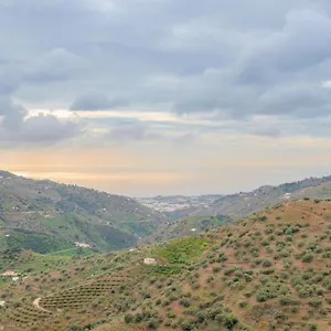 Сasa de vacaciones Cortijo La Encina, Sayalonga